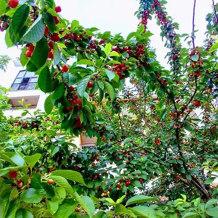 марина кейп комплекс 4* Равда