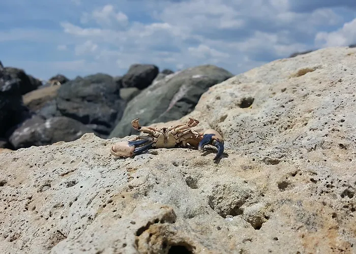 Marina Cape Vacation Complex