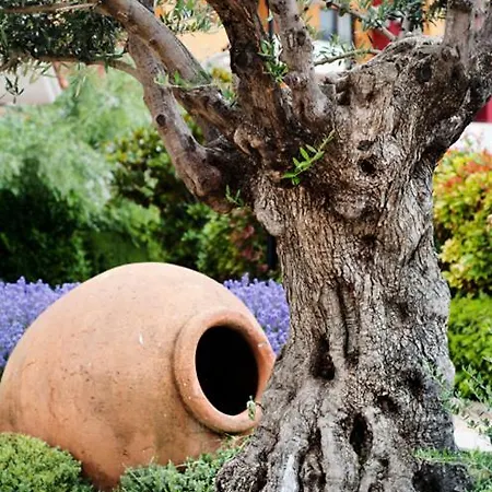 Apartmanhotel Marina Cape Vacation Complex Ravda